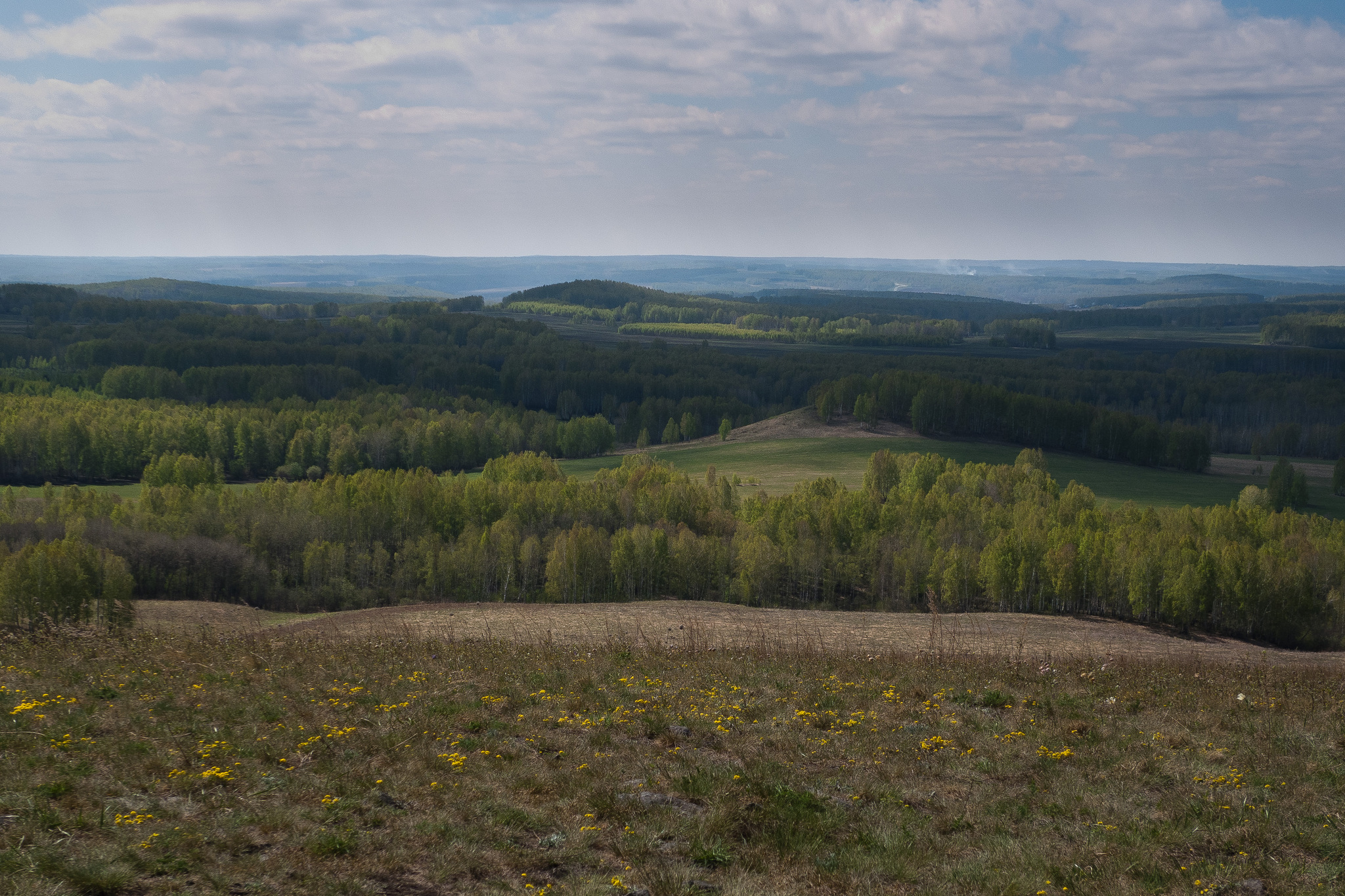 Лысая сопка. Лысая сопка Спасск Дальний. Сопка лысая Новосибирская область. Лысая сопка Приморский край. Гора лысая сопка Челябинск.