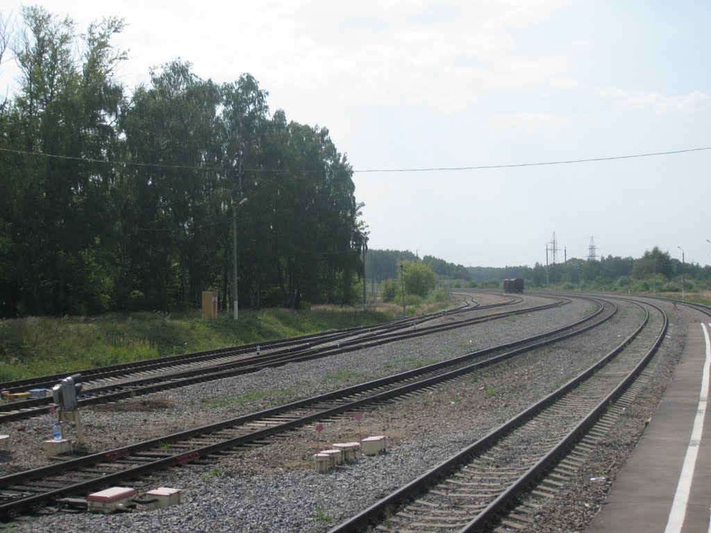 Платформа чаквисцкали. Станция присады тульская область. Железнодорожная станция понтонный. Платформа среднее. Платформа среднее.