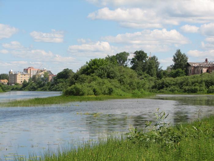 Остров в вологде