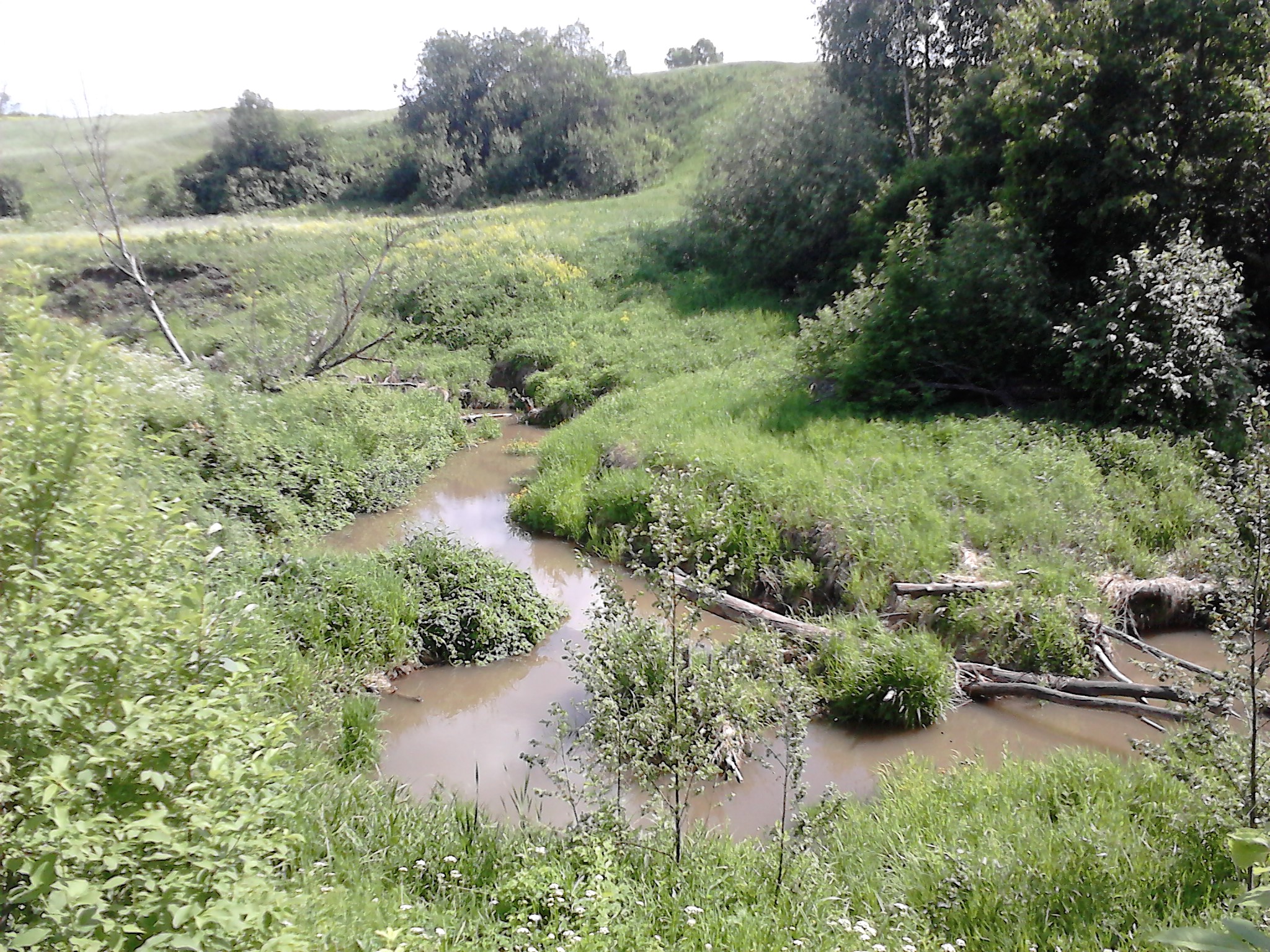 Погода в комаровке. Урочище Байдаковка. Деревня Комаровка. Комаровка Украина село. Комаровка (приток Раздольной).