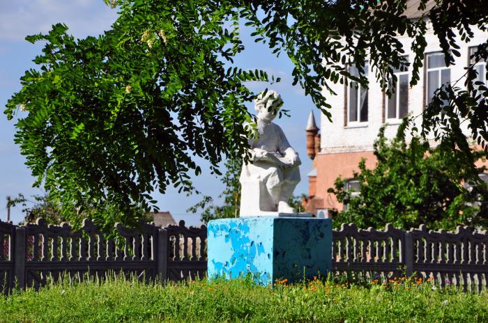 Село васильевка. Село Васильевка Запорожской области. Запорожье село Васильевка. Украина Запорожская область город Васильевка. Поселок Васильевка в Запорожской области.