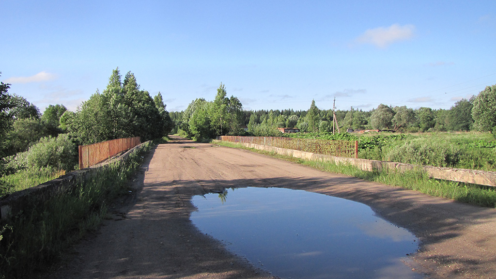 Новгородская пола