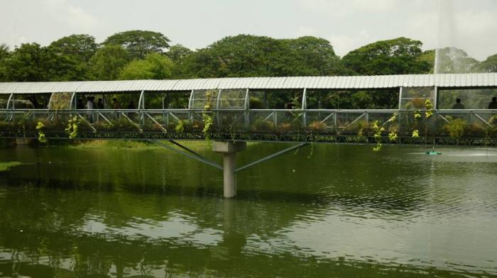 Dhanmondi Lake - Dhaka