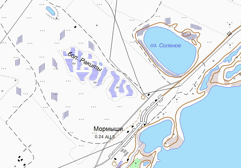 Ракиты алтайский край на карте