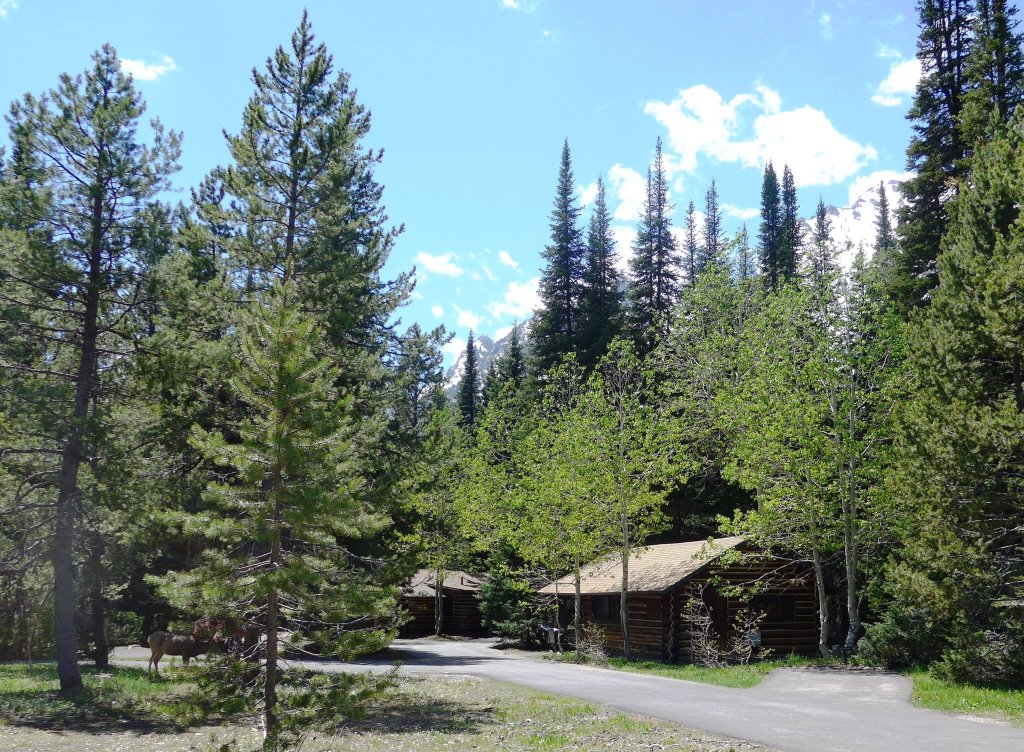 Jenny Lake Cabins