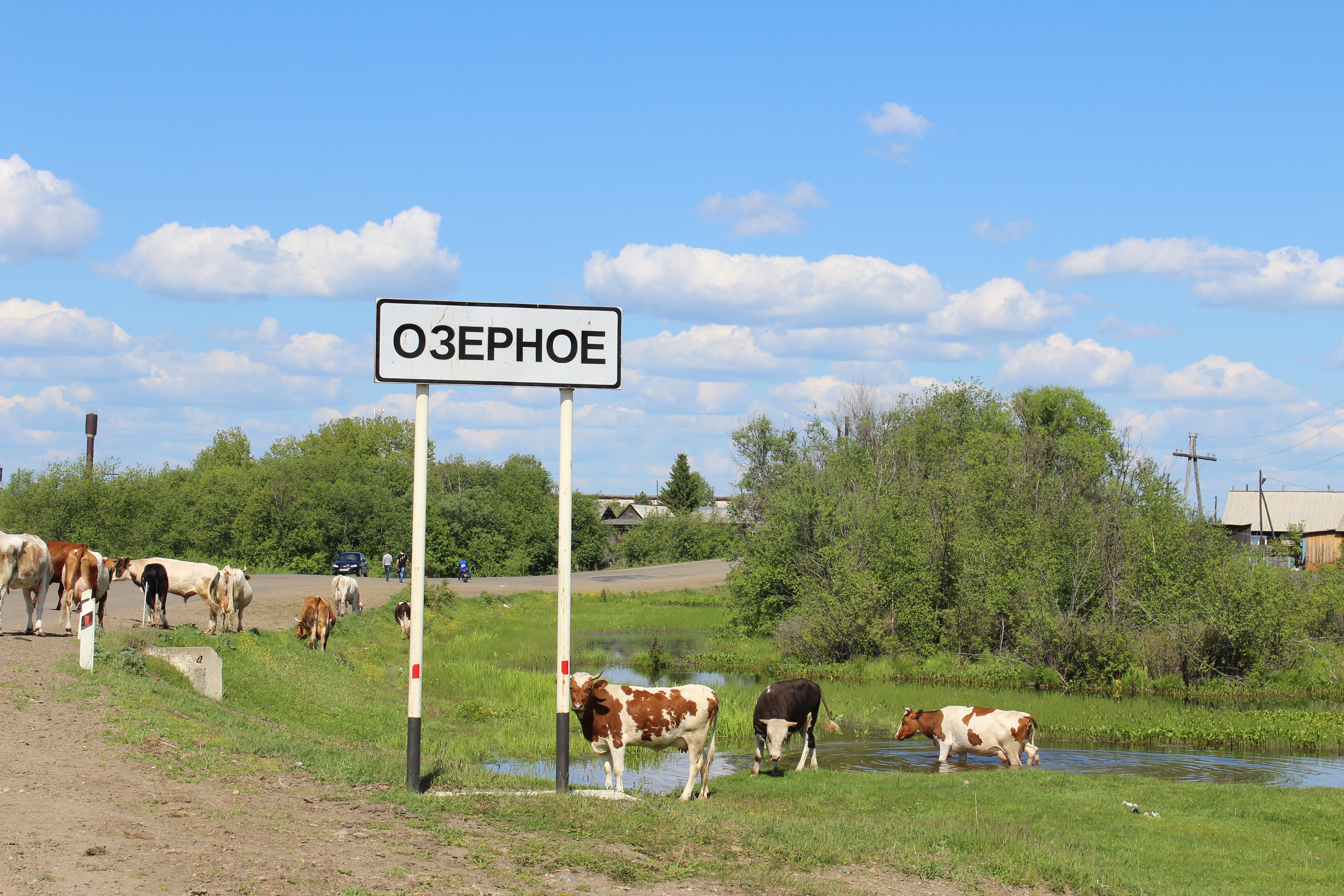 Сельский населенный пункт. Село Озерное Аткарский район. Село Озерное Аткарского района Саратовской. Село Озерное Аткарский район Саратовская область. Село Озерное Красноярский край Енисейский район.