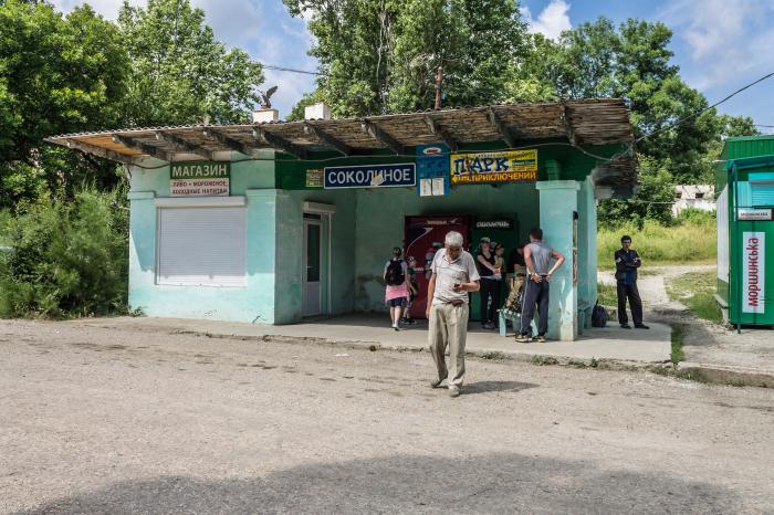 Куйбышево бахчисарай автобус. Автобус Соколиное Бахчисарай. Остановка Соколиное Бахчисарай. Бахчисарай Соколиное расписание автобусов 2020. Расписание автобусов Соколиное Бахчисарай.