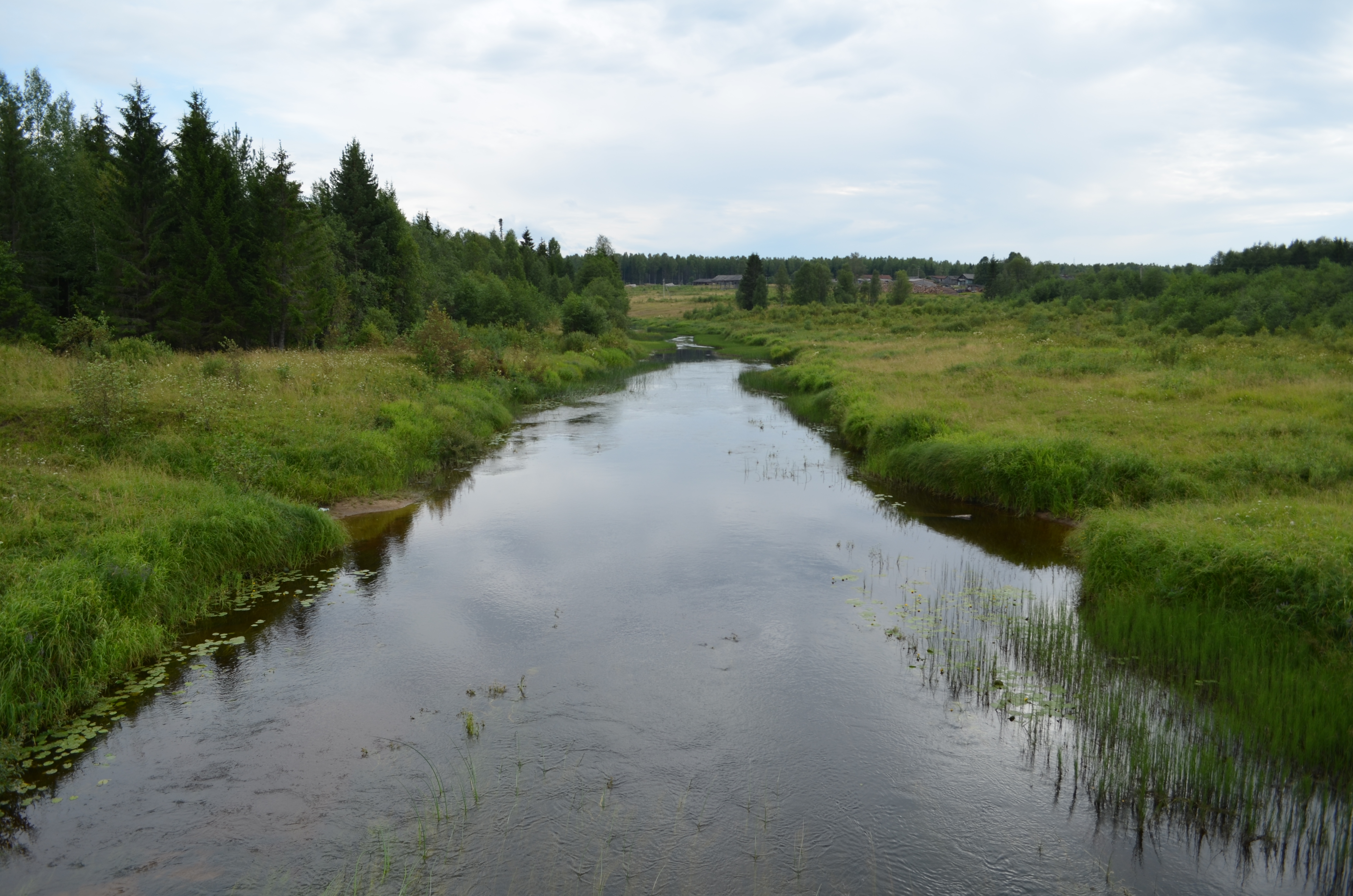 река даугава западная двина. межа река в костромской. нея межа. река рессета калужская область. река западная двина беларусь.