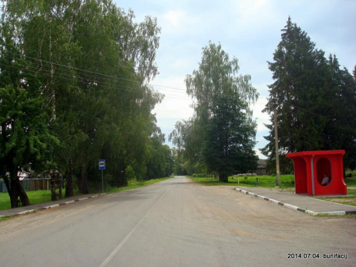 Деревня Николаево Каменецкий район