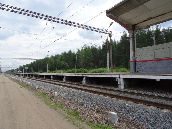 Анциферово новгородская