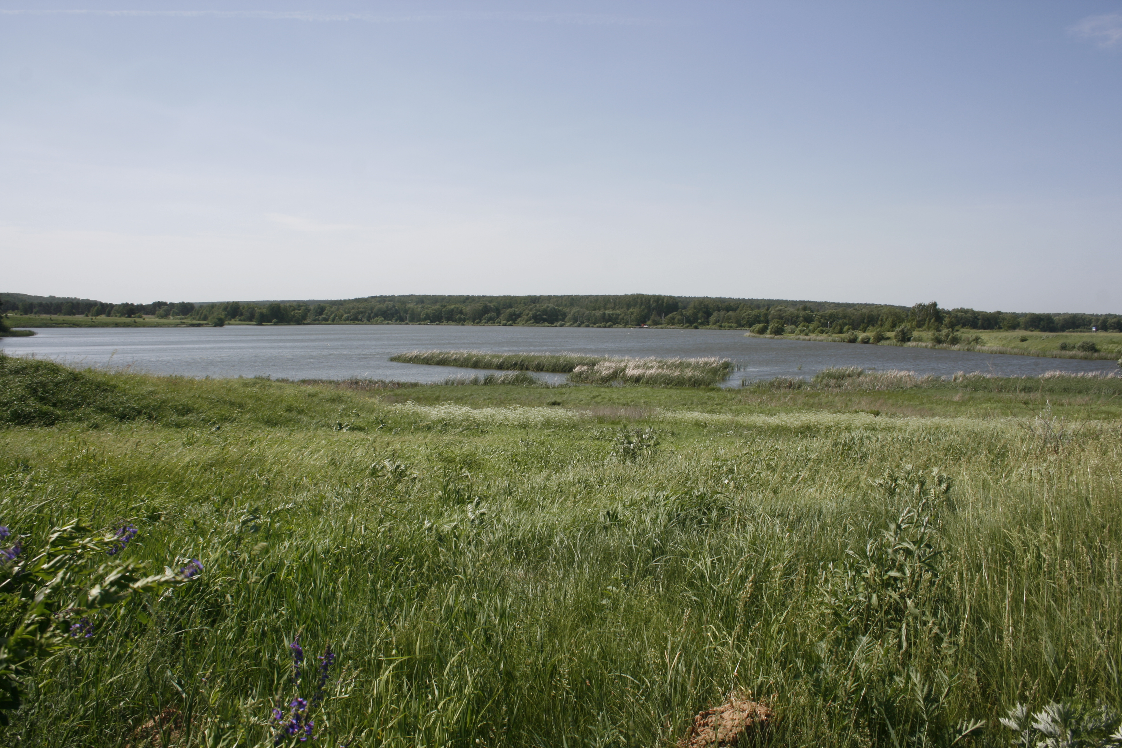 Осенка Рыбхоз Коломна