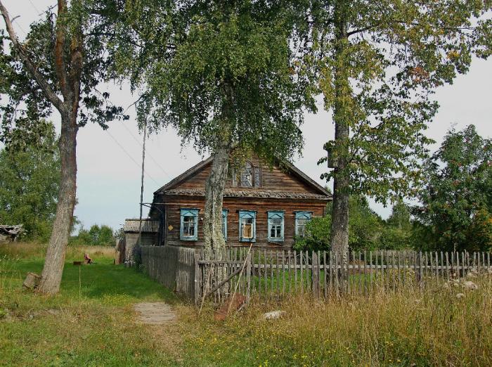 Деревня полом. Деревня Макарино. Деревня Сокирино Костромская область. Деревня Задорино Парфеньевский. Макарино Парфеньевского района Костромской области.