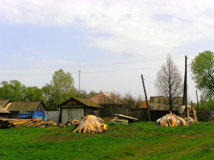 Фото Деревень Пензенской Области