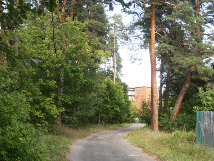 погода в нижнем липовке сосновоборском районе