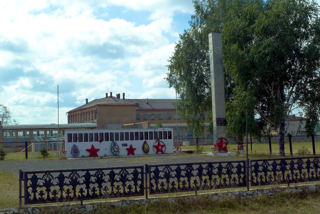 10 школа покровского