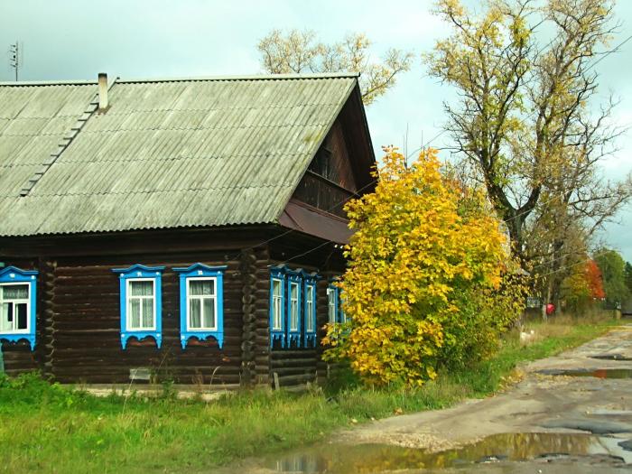 Дом в деревне нижегородская область. Деревня Федосеево Семеновский район. Федосеево Семеновский район Нижегородской области. Деревня Федосеево Нижегородская область. Деревня пруды Нижегородская область Семеновский район.