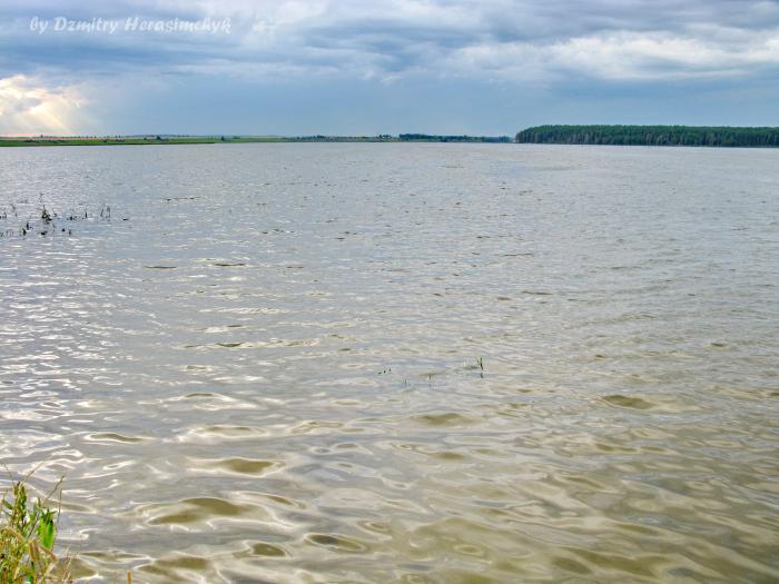 Зельва водохранилище фото