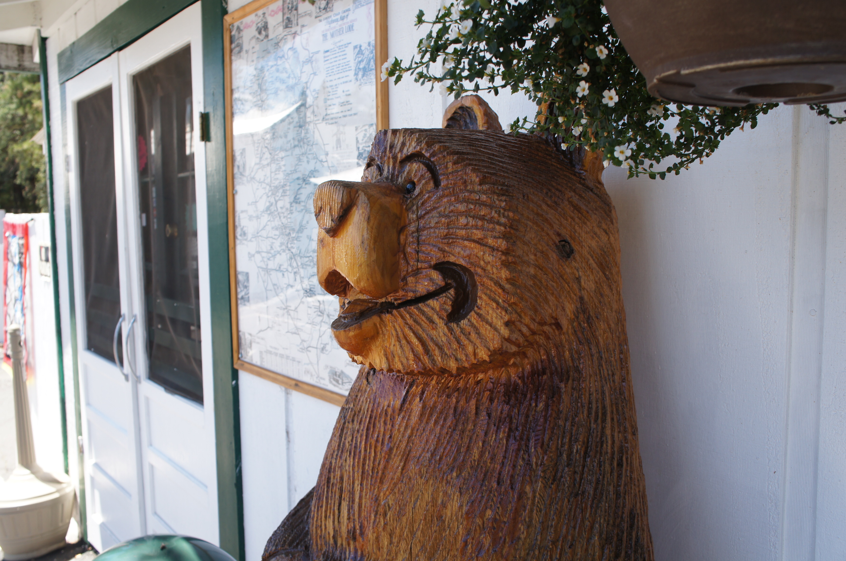 Buck Meadows General Store (Yosemite Ridge)