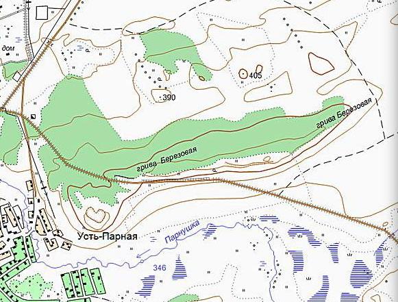 Березовая грива нижнекамск карта