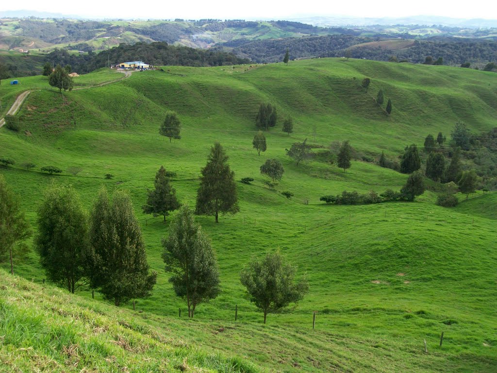 Santa Rosa de Osos