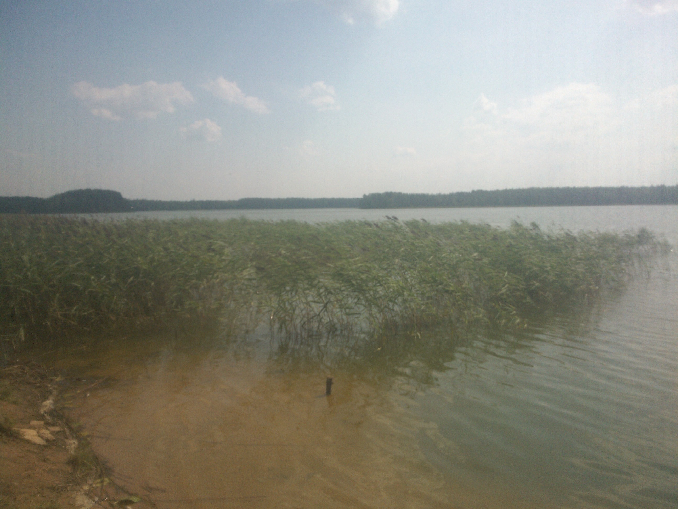 Рыбалка на Озере Островенское в Новгородской области