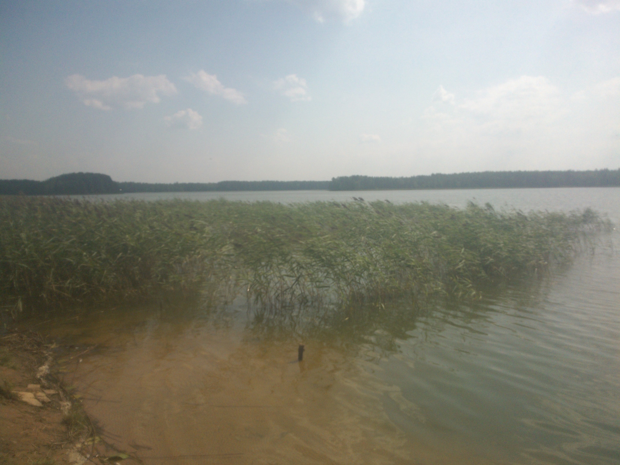 озеро городно новгородская область