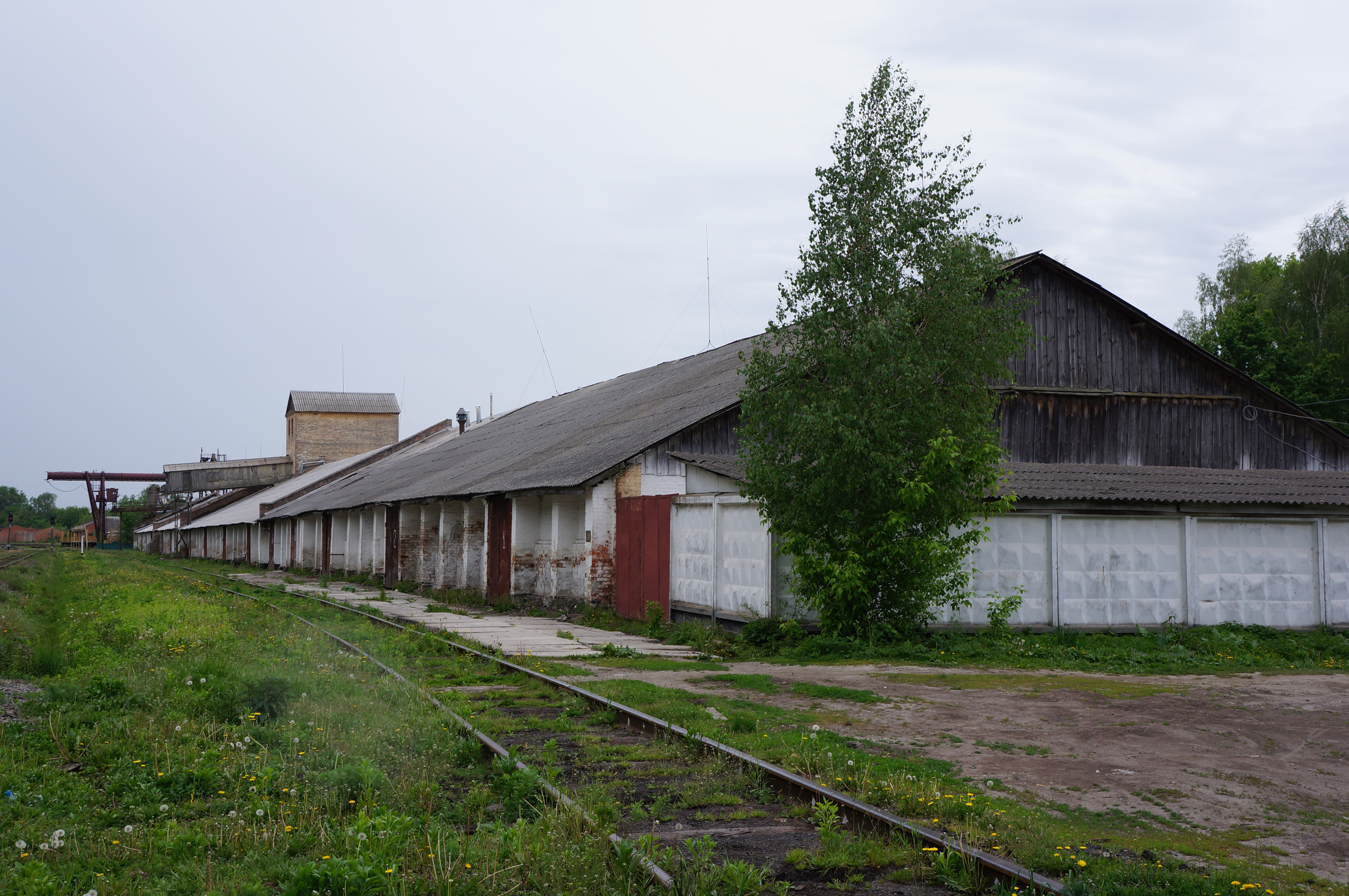 Станция Голубичи Сербия