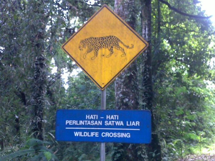 Taman Nasional Gunung Halimun Salak