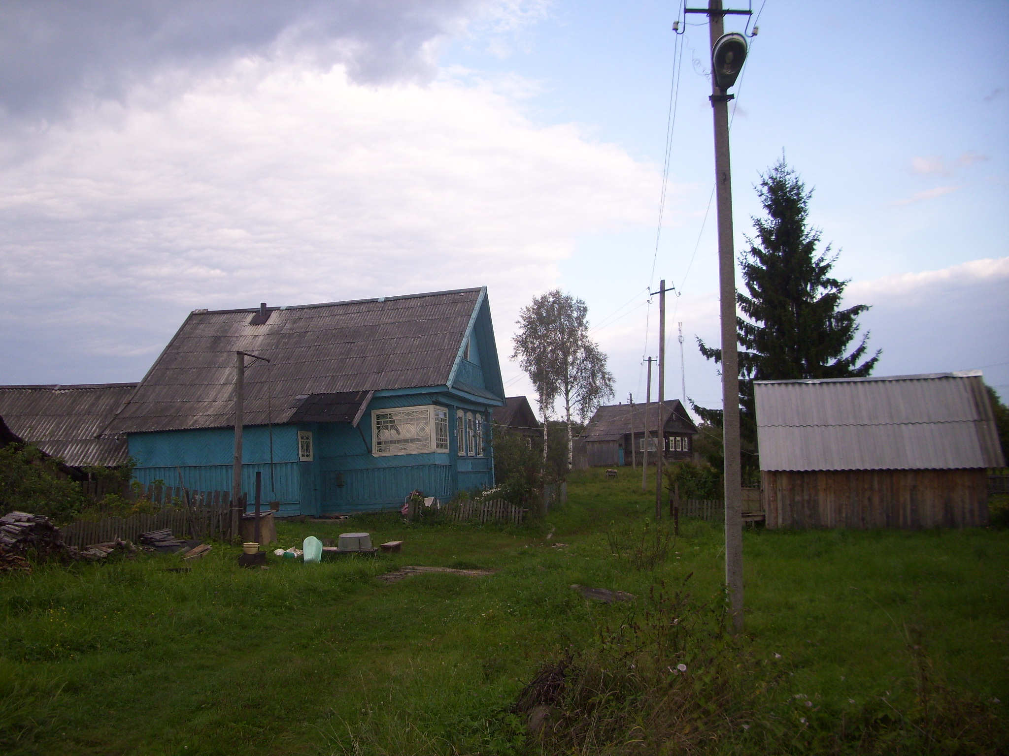 Кневицы новгородская область демянский район карта