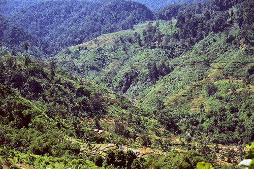 Mount Halimun