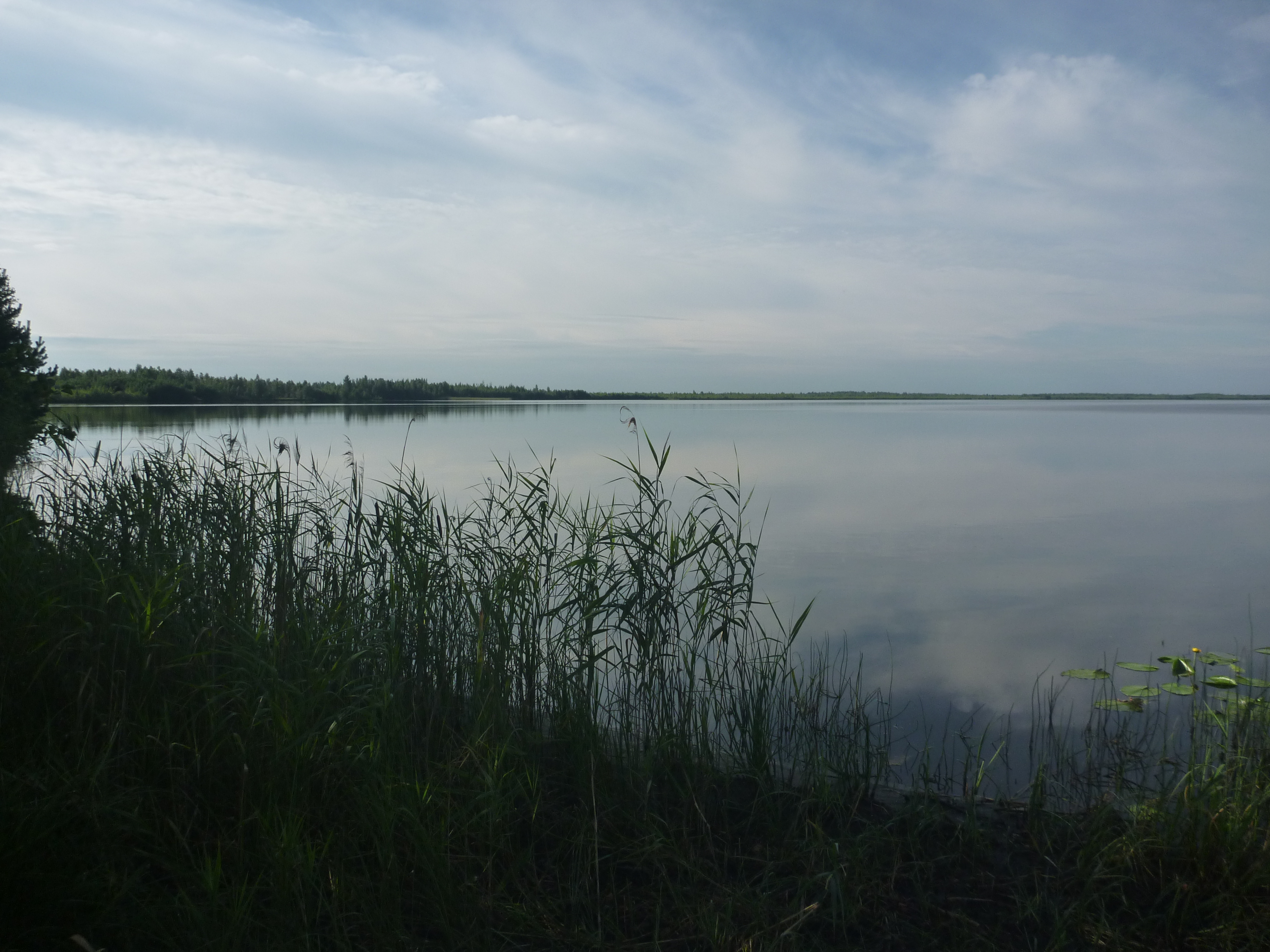 озеро тигода новгородская область