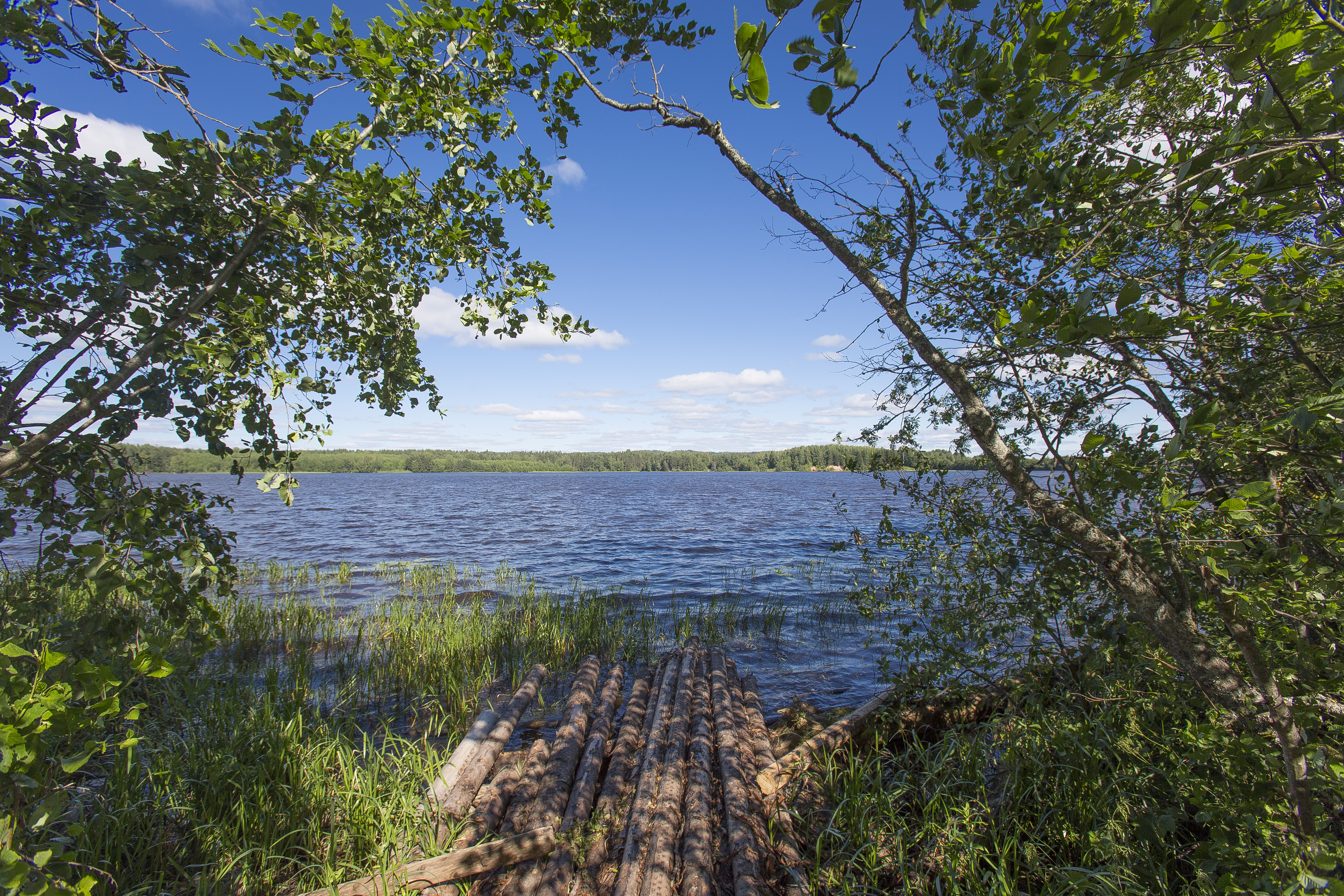 Макаровское водохранилище. Белоусовское водохранилище. Вытегорское водохранилище. Белоусовское озеро Вологодская область. Водохранилище Вытегра.