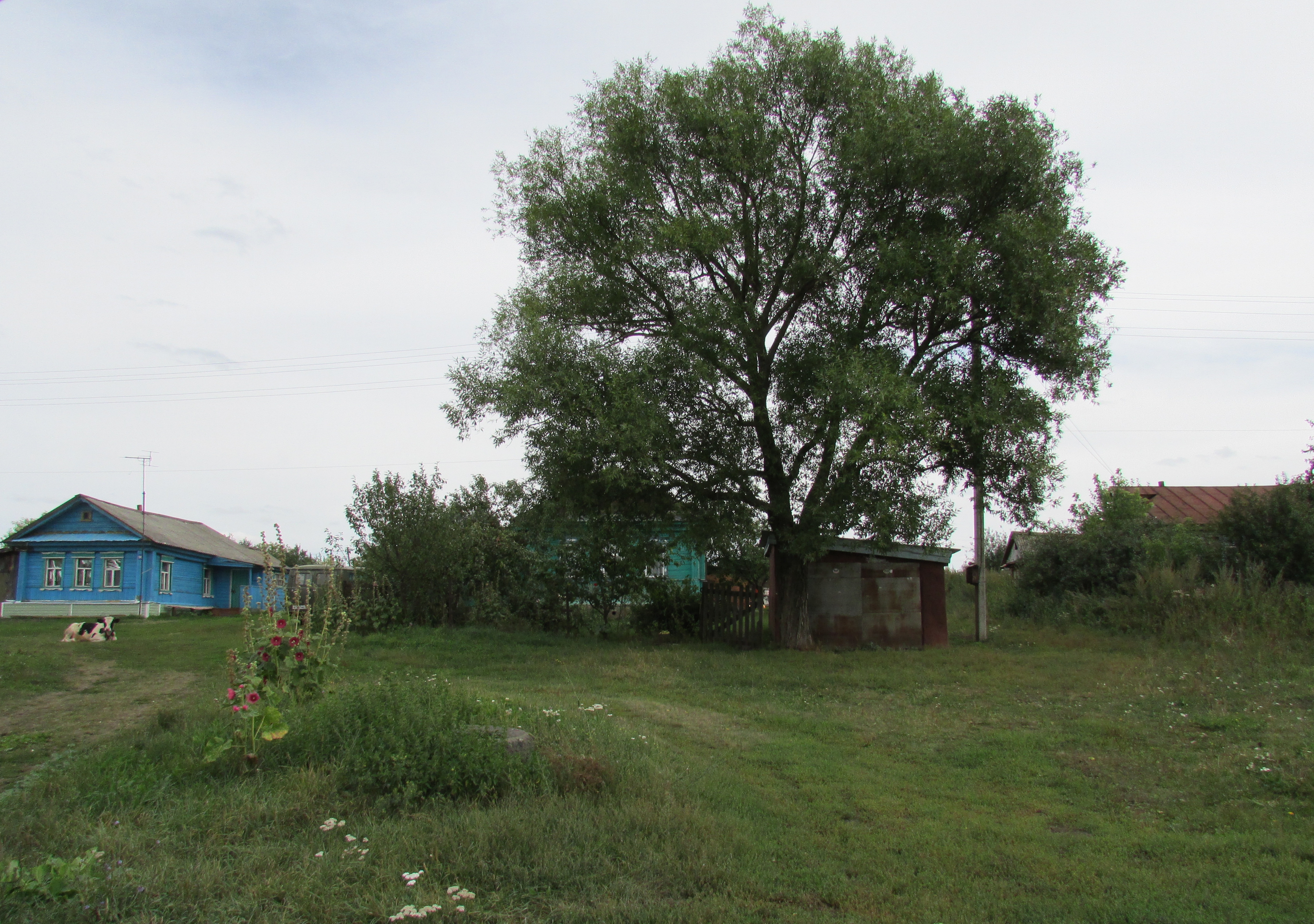 Село новые выселки. Малая Мажарка Нижегородская область. Село Кечасово Краснооктябрьский район. Кечасово Нижегородская область. Нижегородская область деревня Кечасово.