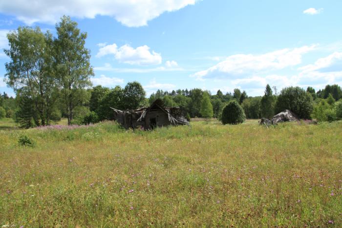 Русско новгородская область