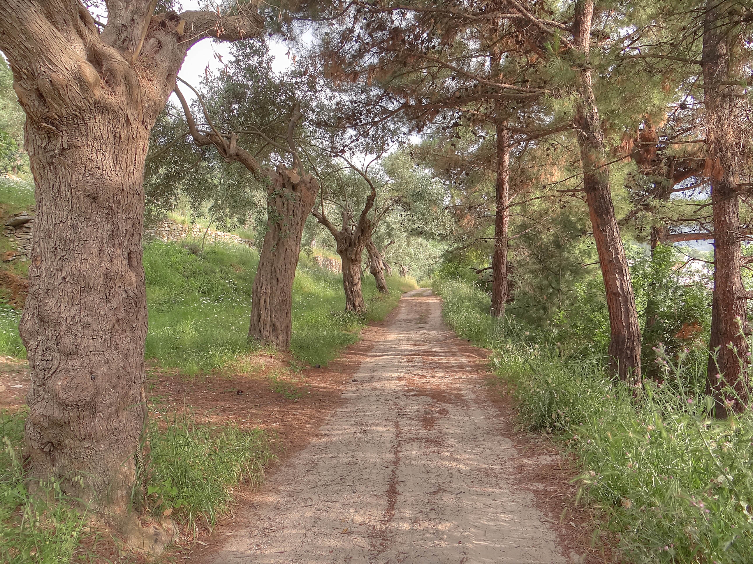 Ancient Ruins - Thasos | archaeological site, interesting place