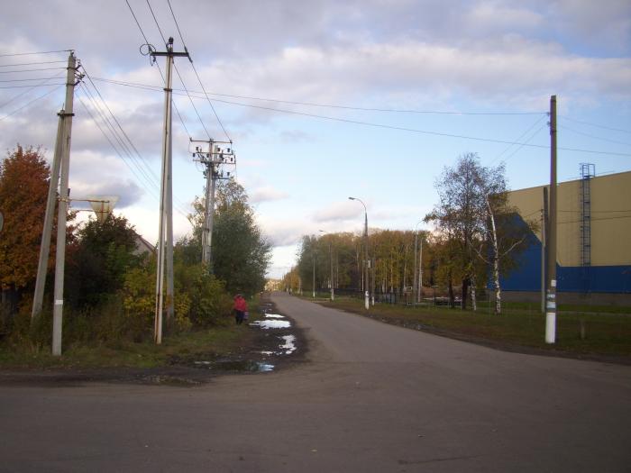 Погода в шахунье на неделю. Нижегородская область г.Шахунья ул.Комсомольская. Шахунья Нижегородской области улица Гагарина. Жители Нижегородской области Шахунья. Шахунья улица Пушкина.