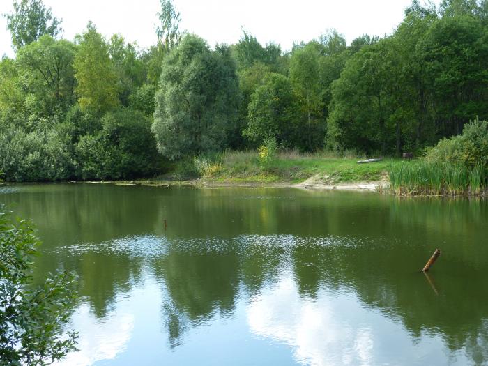 Водоем 5. Инженерный пруд Калининец. Инженерный пруд Алабино. Нижний Ащеринский пруд. Река Юшунка.