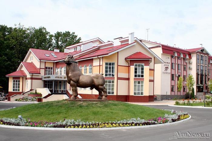 Фото отель яр в воронеже