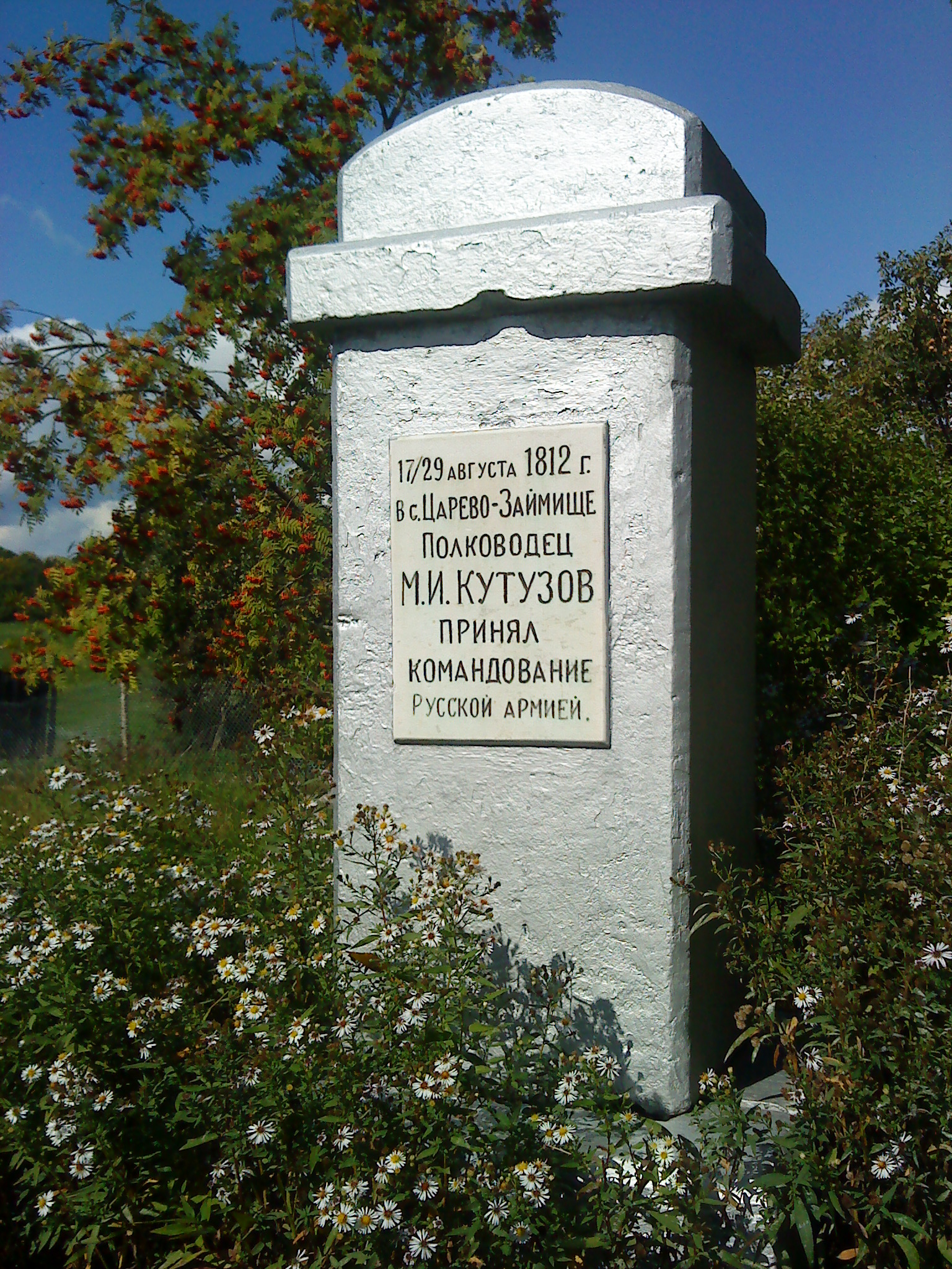 погода царево займище смоленская область