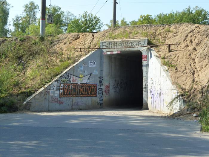 м под ж. укспс-1520-р65. мостовые ж. балластировка пути на железобетонных шпалах. холм с тоннелем.