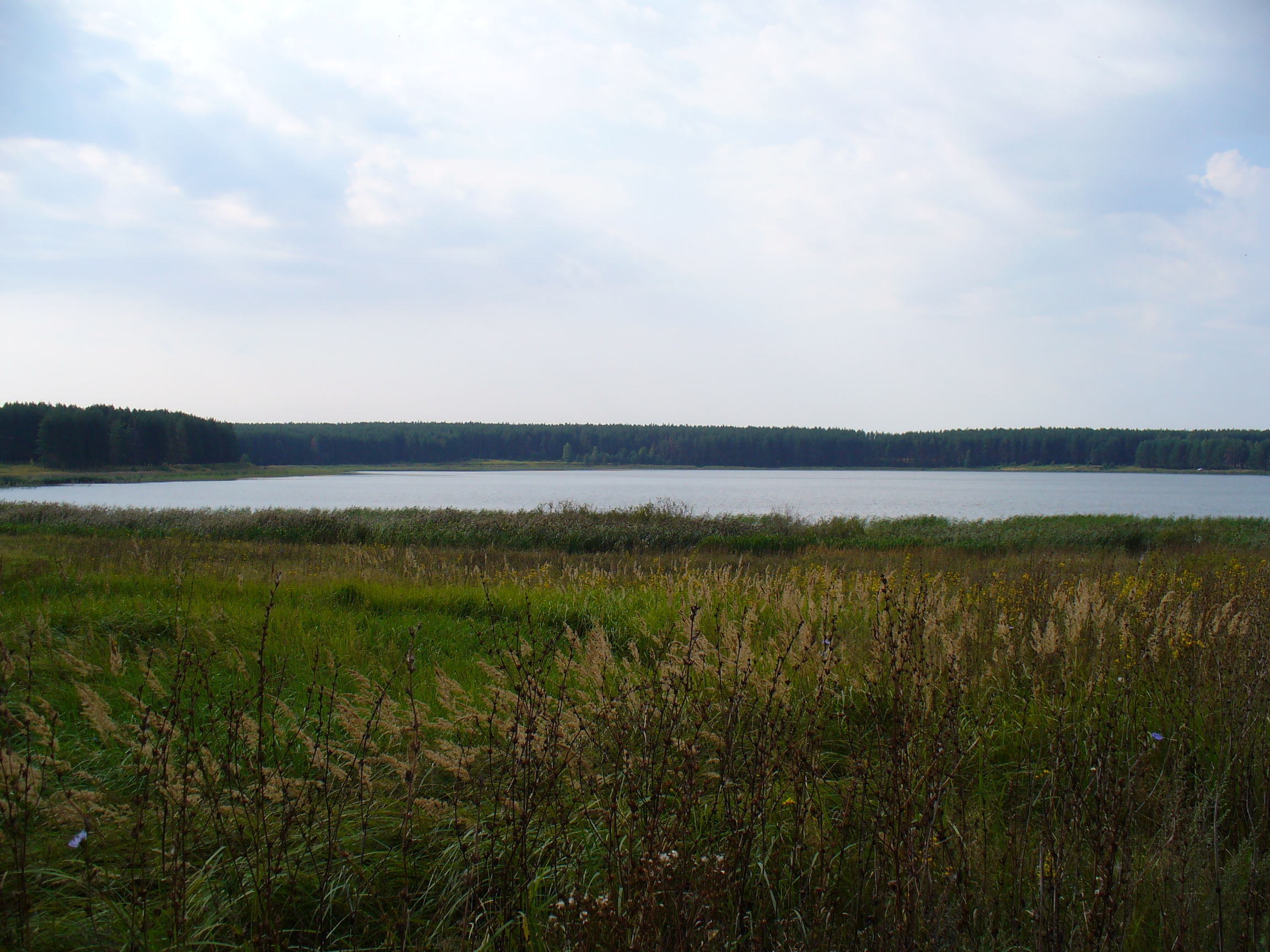 Село святое Осташковский район