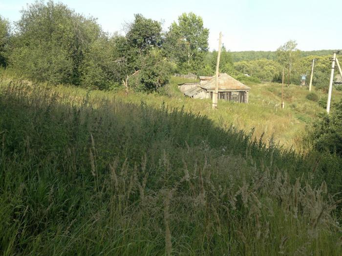 Погода пензенская каменский федоровка. Деревня Федоровка Башкортостан. Село Федоровка Пензенская область. Деревня Федоровка Тульская область. Деревня Федоровка Тульская область Ленинский район.