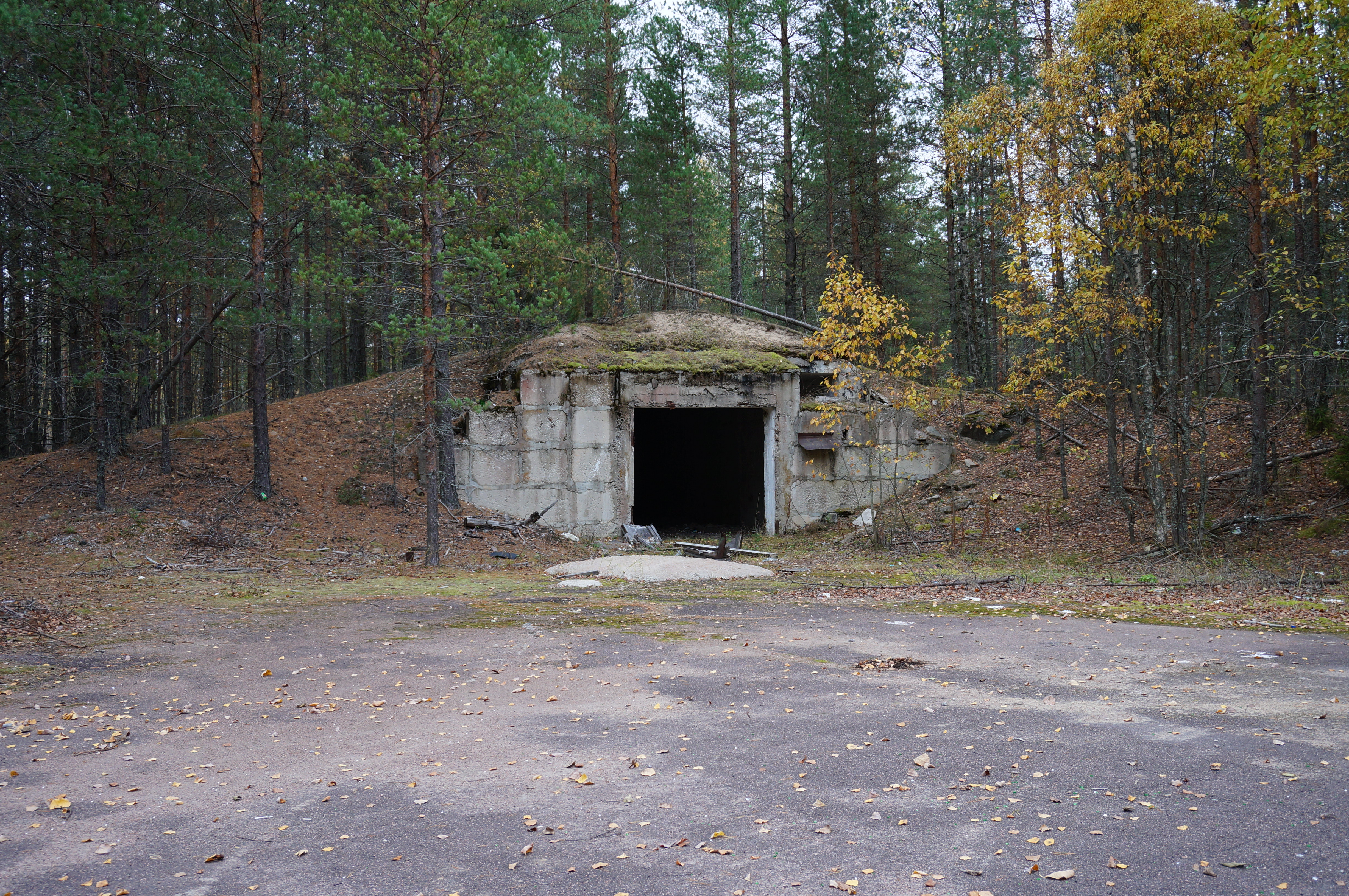 Бункер Каменногорск