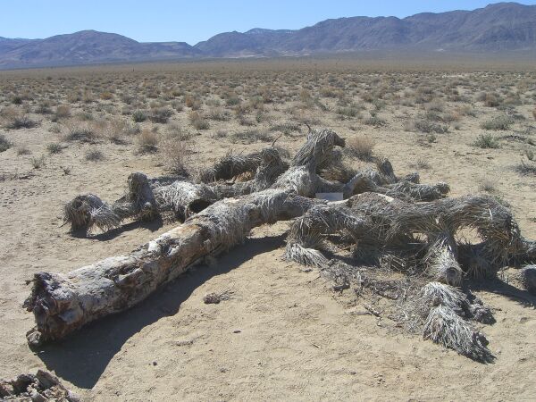 U2's Joshua Tree Former location