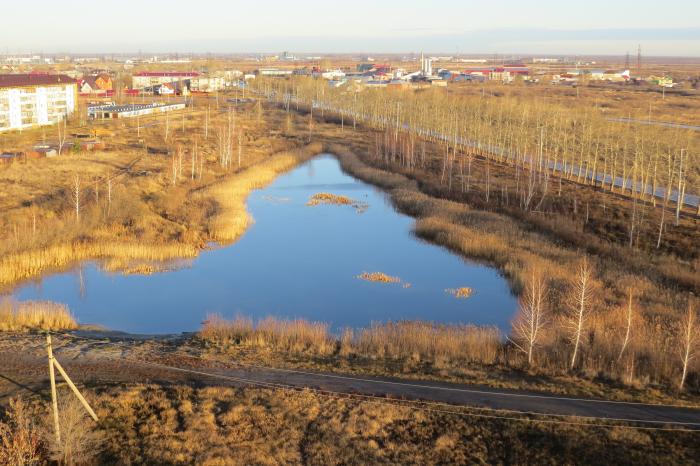 Карьер тюмень