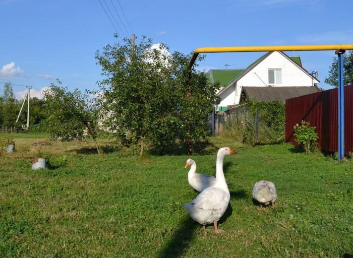 Село ясенки курская область. Село Кунье Курская область. Село Кунье Харьковская область.