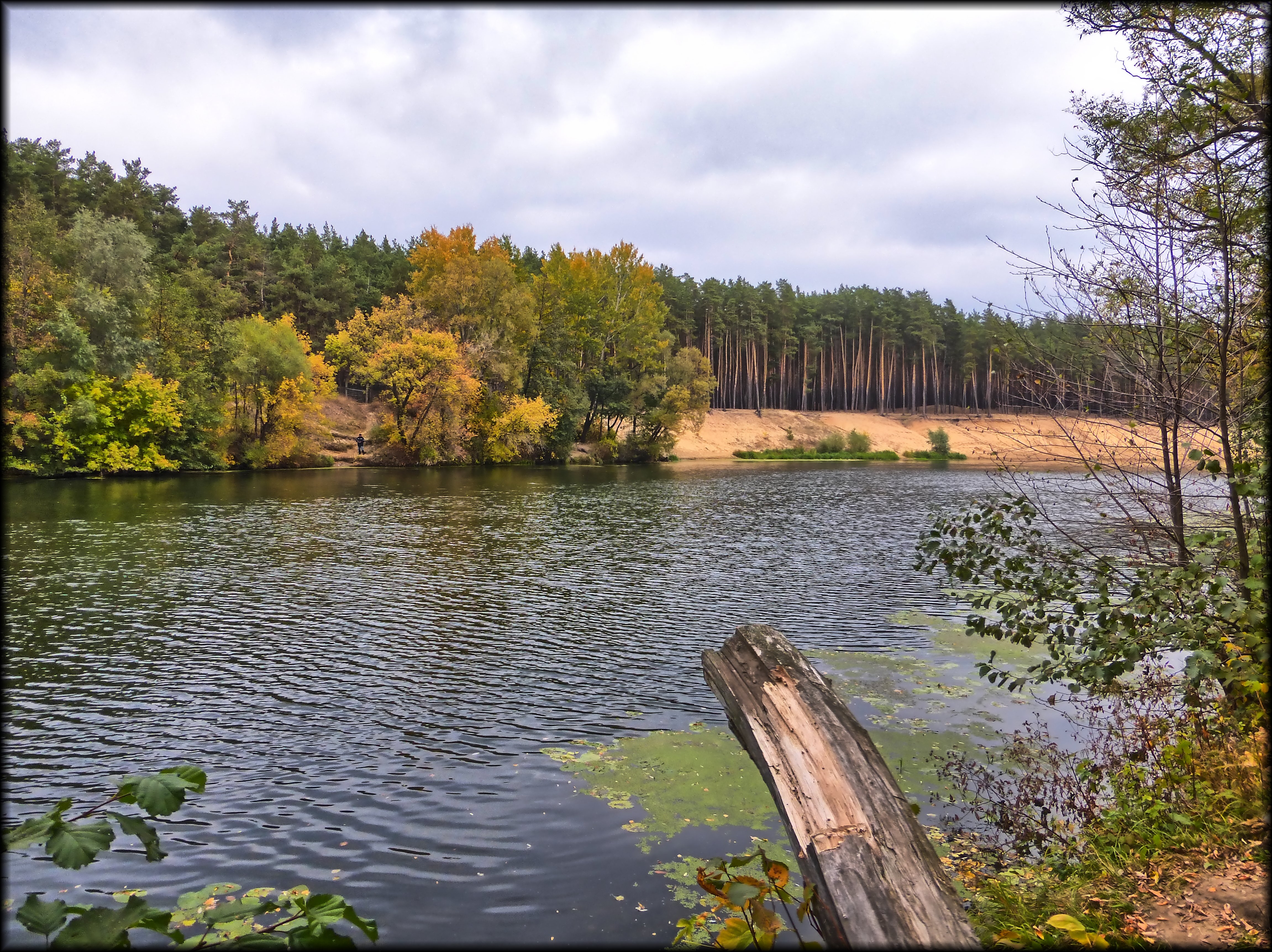 море в курске