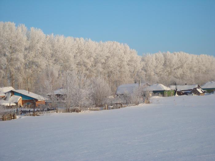 Сокур новосибирск. Село Сокур Новосибирская область. Сокур Мошковский район Новосибирская область. Достопримечательности Сокур Мошковский район. Церковь в Сокуре Новосибирская область.