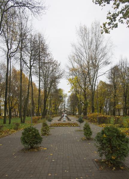 Аллея остров. Парк Победы г.остров Псковская область. Город остров Псковской парк Победы. Центральная аллея. Остров Псковская область парки.