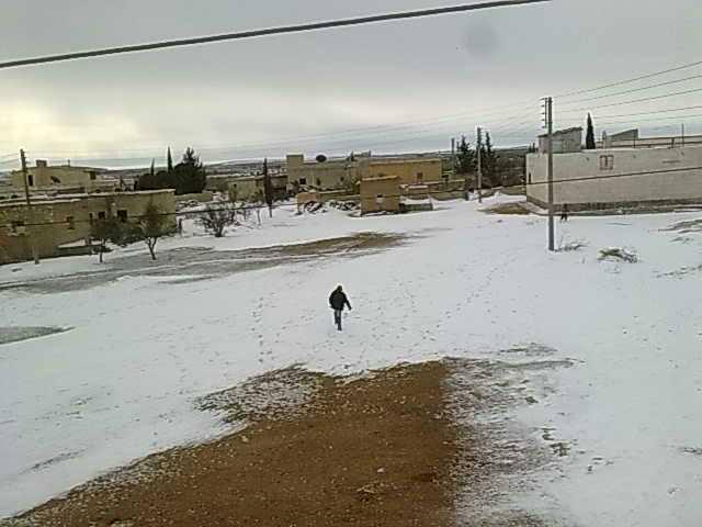 Tal Hawli Tal Ali